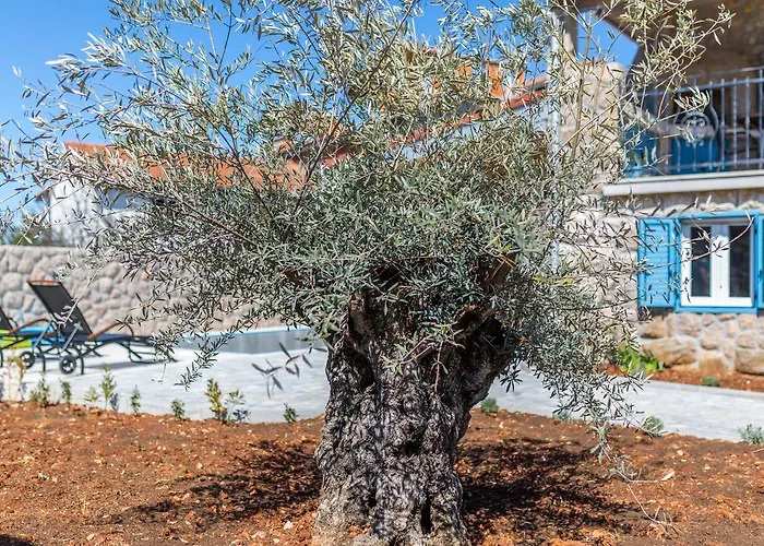 Apartment Old Stone House With A Heated Pool