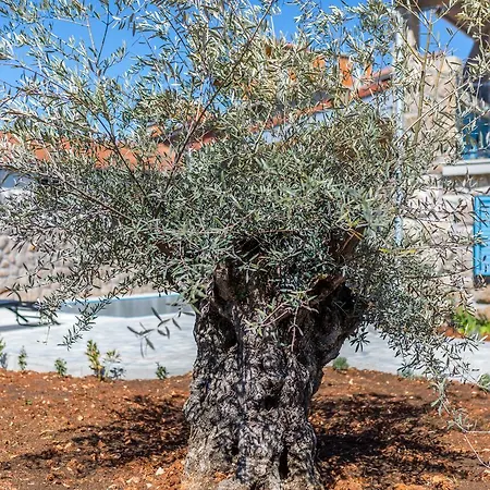 Apartman Old Stone House With A Heated Pool